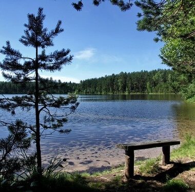 Фото дача, СНТ Большой Лог