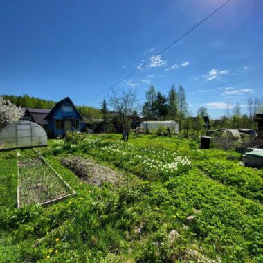 Фото дача, СНТ Большой Лог